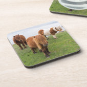 シェットランドポニーの牧草地の高い崖の近く コースター (左側)