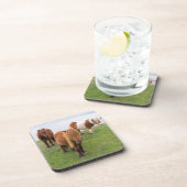 シェットランドポニーの牧草地の高い崖の近く コースター (右側)