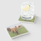 シェットランドポニーの牧草地の高い崖の近く ストーンコースター (横)