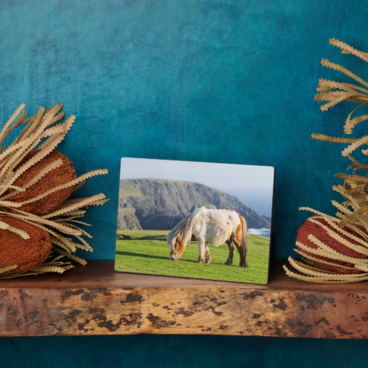 シェットランドポニーの牧草地の高い崖の近く フォトプラーク (側面)