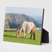 シェットランドポニーの牧草地の高い崖の近く フォトプラーク (側面)