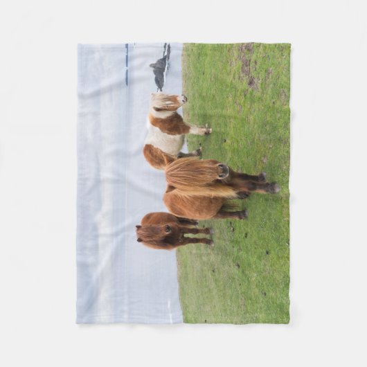 シェットランドポニーの牧草地の高い崖の近く フリースブランケット (正面)