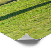 シェットランドポニーの牧草地の高い崖の近く ポスター (角)