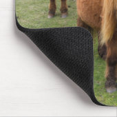 シェットランドポニーの牧草地の高い崖の近く マウスパッド (コーナー)