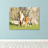 シェットランドポニーオンパスチュアハイクライフの近く、マーレ2 キャンバスプリント (インサイチュ (ウッドフロア))