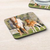 シェットランドポニーオンパスチュアハイクライフの近く、マーレ2 コースター (左側)