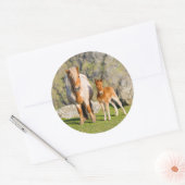 シェットランドポニーオンパスチュアハイクライフの近く、マーレ2 ラウンドシール (封筒)