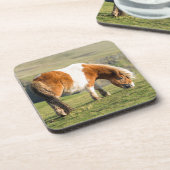 シェットランドポニーオンパスチュアハイクライフ近く コースター (左側)