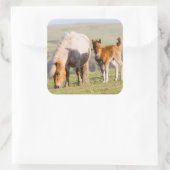 シェットランドポニー牧草地の標高の高い崖の近く スクエアシール (バッグ)