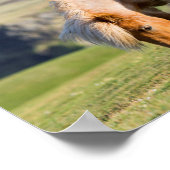 シェットランドポニー牧草地の標高の高い崖の近く ポスター (角)