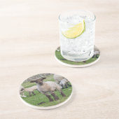 シェットランド羊 コースター (側面)