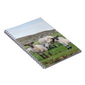 シェットランド羊 ノートブック (右側)