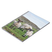 シェットランド羊 ノートブック (左側)