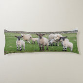 シェットランド羊 ボディピロー (裏面)