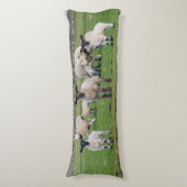 シェットランド羊 ボディピロー (正面縦)