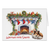 シェットランド・シェプドッグがサンタを待つ (正面横)