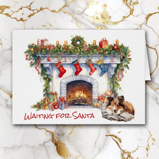 シェットランド・シェプドッグがサンタを待つ