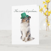 シェットランド・ シープドッグおもしろいセントパトリックデイカード カード (黄色い花)