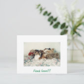 シェットランド・ シープドッグとぬいぐるみ ポストカード (スタンド正面)