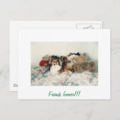 シェットランド・ シープドッグとぬいぐるみ ポストカード (正面/裏面)