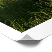 シェットランド・ シープドッグと帽子 ポスター (角)