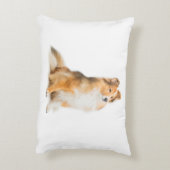 シェットランド・シープドッグのお母さんの枕 アクセントクッション (裏面(縦))