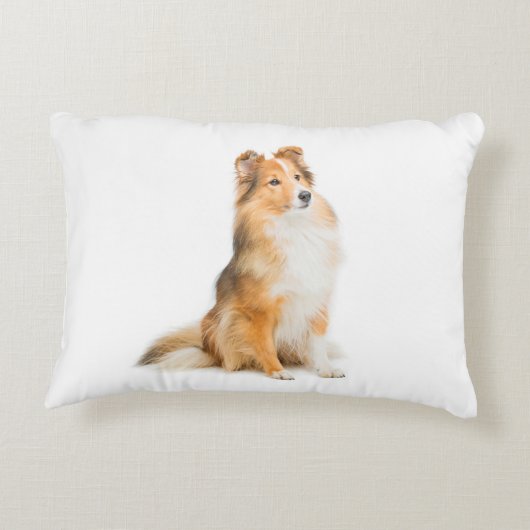 シェットランド・シープドッグのお母さんの枕 アクセントクッション (裏面)