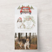 シェットランド・ シープドッグのヴィンテージレッドトラック写真クリスマスカード オールインワン招待状 (内側)