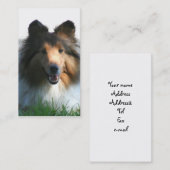 シェットランド・シープドッグの名刺 名刺 (正面/裏面)