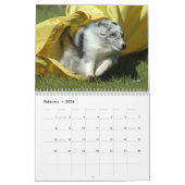 シェットランド・シープドッグの敏捷のカレンダー カレンダー (2月 2026)