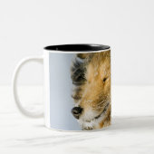 シェットランド・シープドッグの眺め ツートーンマグカップ (左)