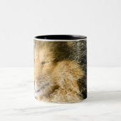 シェットランド・シープドッグの眺め ツートーンマグカップ (中央)