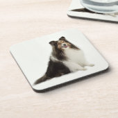 シェットランド・シープドッグの組合せ及びマッチのコースター コースター (左側)