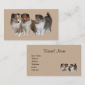 シェットランド・シープドッグの繁殖動物の名刺 名刺 (正面/裏面)