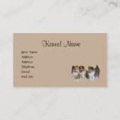 シェットランド・シープドッグの繁殖動物の名刺 名刺 (裏面)