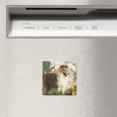 シェットランド・ シープドッグの花マグネット マグネット (インサイチュ (食洗機))