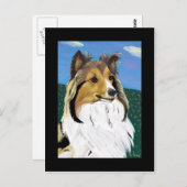 シェットランド・ シープドッグはがき ポストカード (正面/裏面)