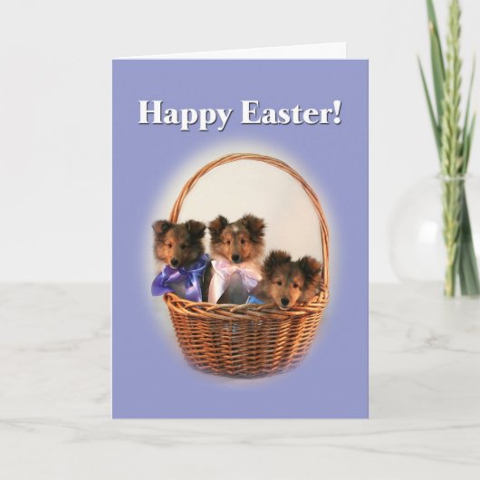 シェットランド・ シープドッグイースターバスケット シーズンカード (正面)