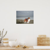 シェットランド・ シープドッグオンザビーチプリント ポスター (キッチン)