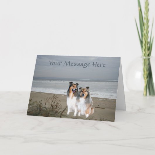 シェットランド・ シープドッググリーティングカード カード (正面)