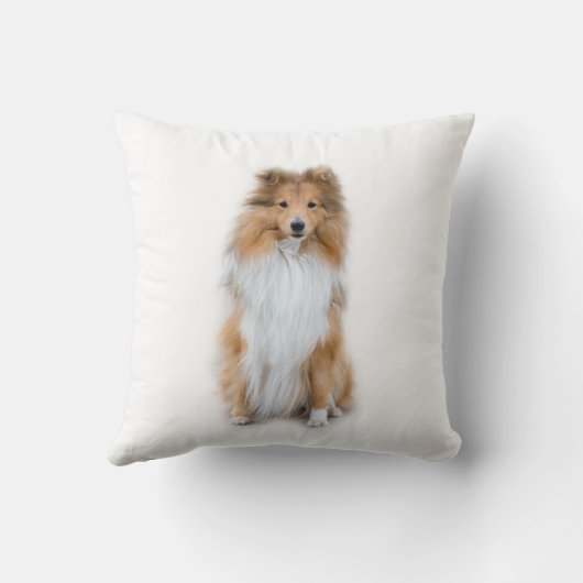 シェットランド・ シープドッグシェットランドシェプドッグ枕 クッション (裏面)