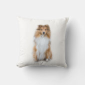 シェットランド・ シープドッグシェットランドシェプドッグ枕 クッション (正面)