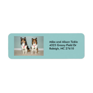 シェットランド・ シープドッグシャンズ！ ラベル