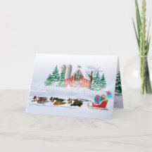 シェットランド・ シープドッグドッグブラウン、黒とグレー、引くそり