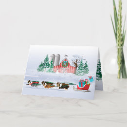 シェットランド・ シープドッグドッグブラウン、黒とグレー、引くそり シーズンカード