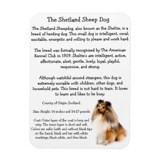シェットランド・ シープドッグ磁石 マグネット