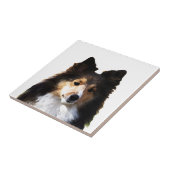 シェットランド・ シープドッグ絵を描ドッグのスケッチ タイル (側面)