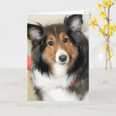 シェットランド・シープドッグ(シェットランド・シープドッグ)の挨拶またはメッセージカード カード (黄色い花)