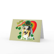 シェットランド・シープドッグSt. Patricks日