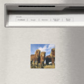 シェットランド・ポニー本土シェットランド諸島 マグネット (インサイチュ (食洗機))